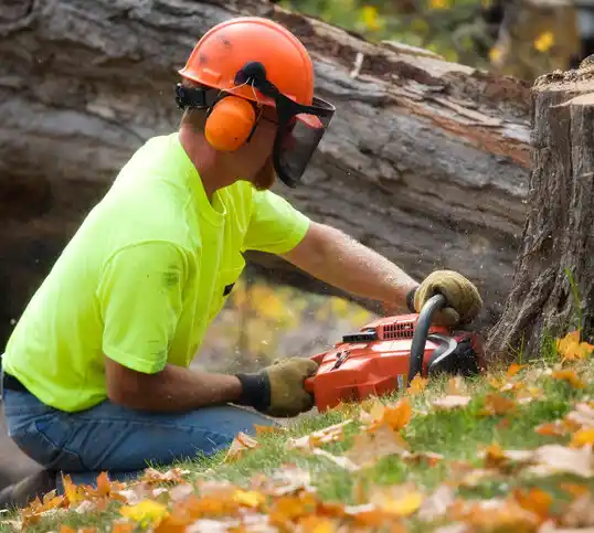 tree services Preston